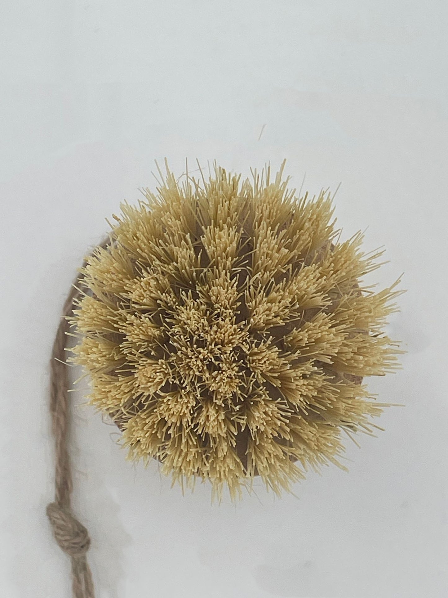 Topfbürsten mit Naturborsten aus Sisal und Kokos