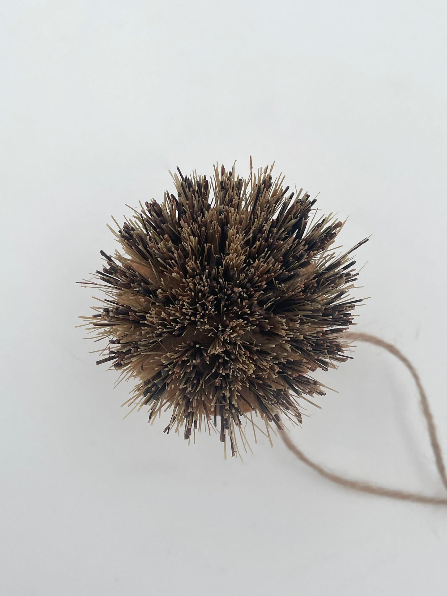 Topfbürsten mit Naturborsten aus Sisal und Kokos